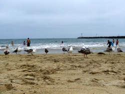 Big Corona Beach
